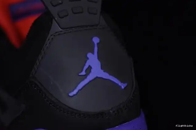 Retro Raptors